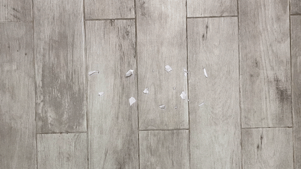 ทดสอบดูดเศษกระดาษ Dreame Bot L10s Ultra