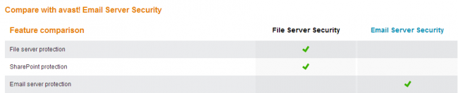 Avast! File Server Security