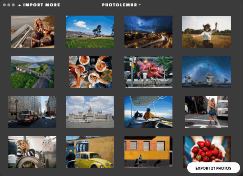 Photolemur Photolemur