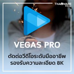 VEGAS Pro 17 Suite 