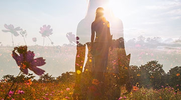 โปรแกรมตัดต่อวิดีโอคุณภาพสูง รุ่นสูงสุด VEGAS Pro Suite 23