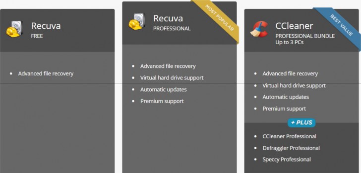 Recuva Professional