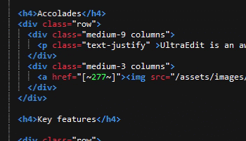 UltraEdit + UltraCompare