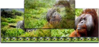 VideoPad Video Editor