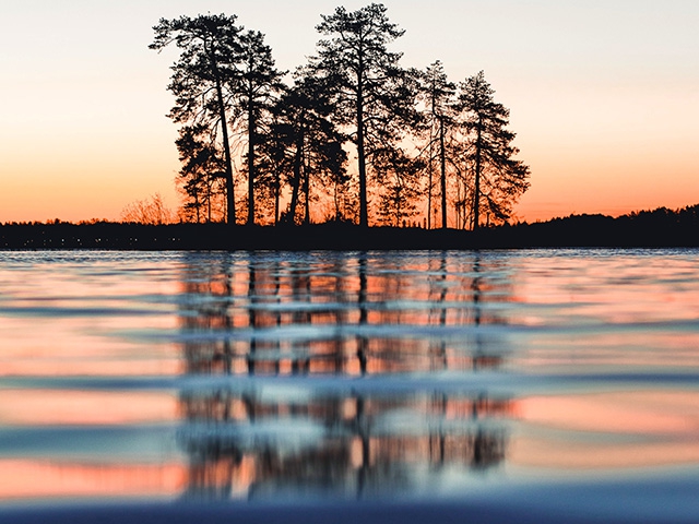 โปรแกรมดู แก้ไข และจัดการรูปภาพ รุ่นโปร ACDSee Photo Studio Professional 2025