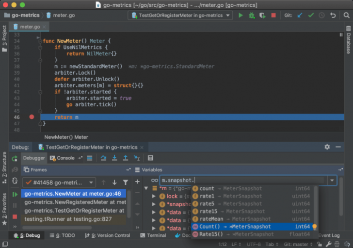 โปรแกรมรวมเครื่องมือสำหรับผู้พัฒนาภาษาโก Jetbrains GoLand 2025