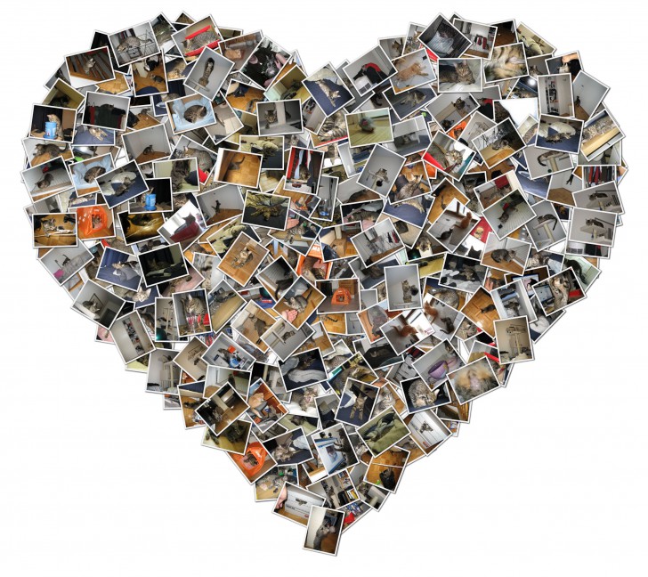 Shape Collage Pro for Commercial