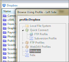 Beyond Compare Standard Edition