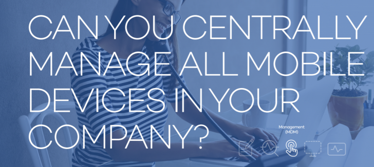 Panda Systems Management