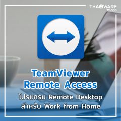 TeamViewer Remote Access