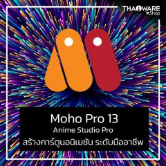 Moho Pro 13 Anime Studio Pro