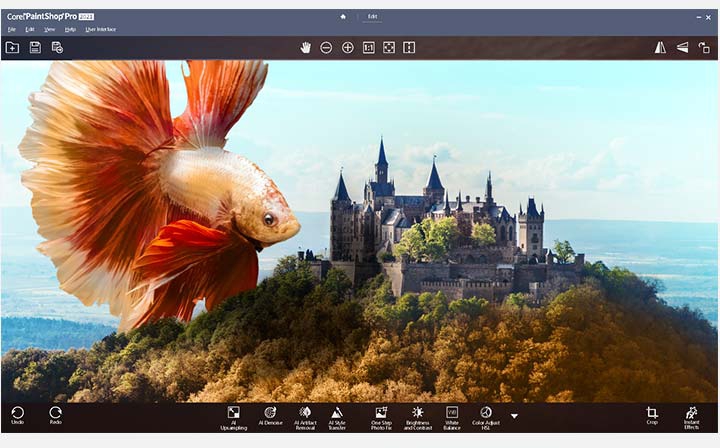 Photo Video Bundle Pro
