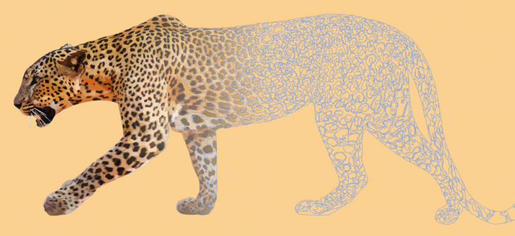 CorelDRAW Graphics Suite 2021 for Mac