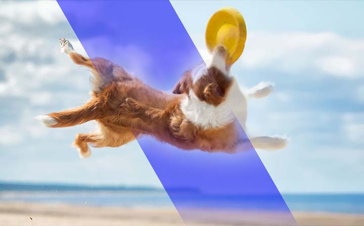 Photo Video Bundle Ultimate