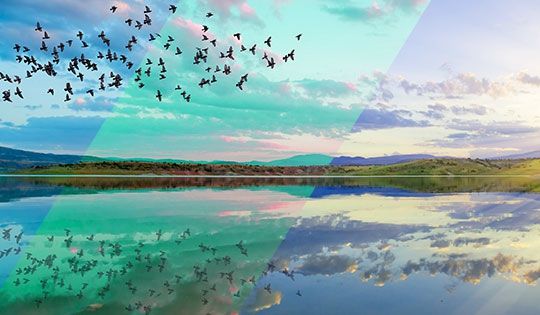 โปรแกรมตัดต่อและปรับโทนสีวิดีโอ ลิขสิทธิ์รายปี CyberLink ColorDirector 365