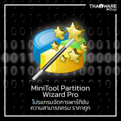 MiniTool Partition Wizard Pro