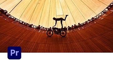 ชุดโปรแกรมออกแบบกราฟิก ตัดต่อวิดีโอ และงานสร้างสรรค์ สำหรับหน่วยงานราชการ Adobe Creative Cloud Pro for Team Government