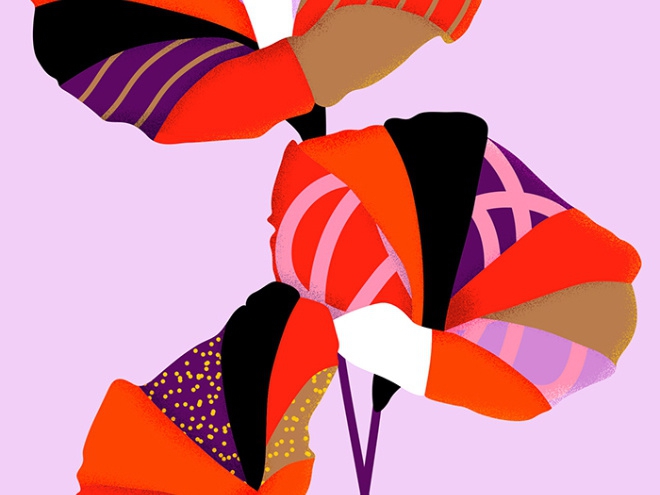 โปรแกรมวาดภาพเวกเตอร์ สำหรับสถานศึกษา Adobe Illustrator for Teams Education