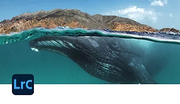 โปรแกรมแต่งรูปถ่าย สำหรับหน่วยงานราชการ Adobe Lightroom Classic for Teams Government โปรแกรมแต่งรูปถ่าย สำหรับหน่วยงานราชการ Adobe Lightroom Classic for Teams Government