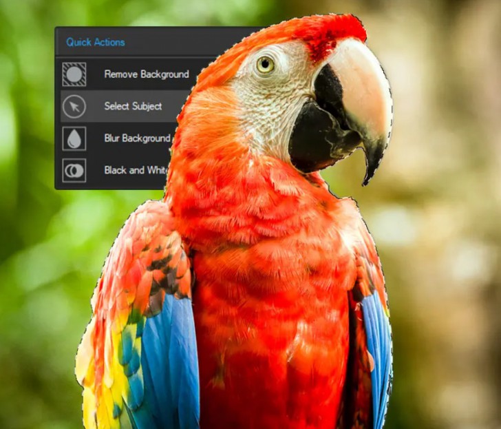 โปรแกรมแต่งรูป แก้ไขไฟล์ RAW รีทัชรูปถ่าย ACDSee Gemstone Photo Editor 15