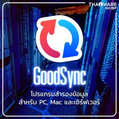 GoodSync