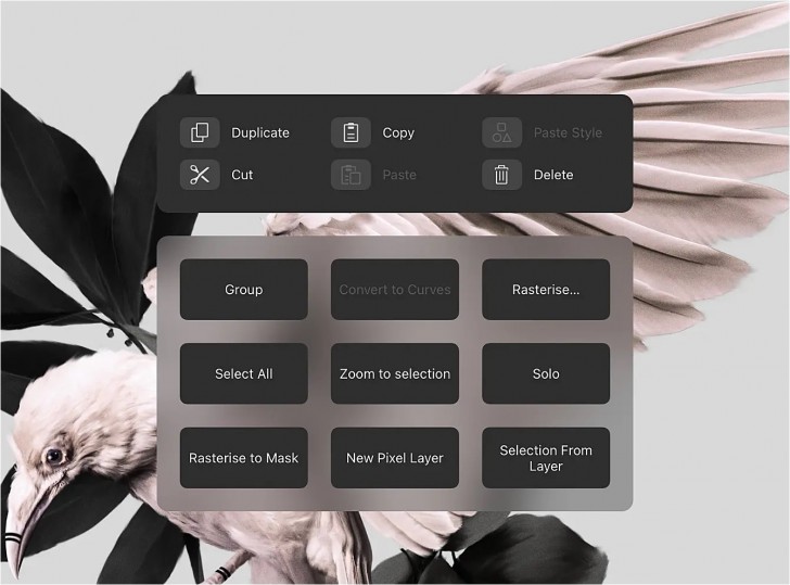 แอปพลิเคชัน iPad สำหรับแต่งรูป จัดการ RAW ไฟล์ Affinity Photo 2 for iPad