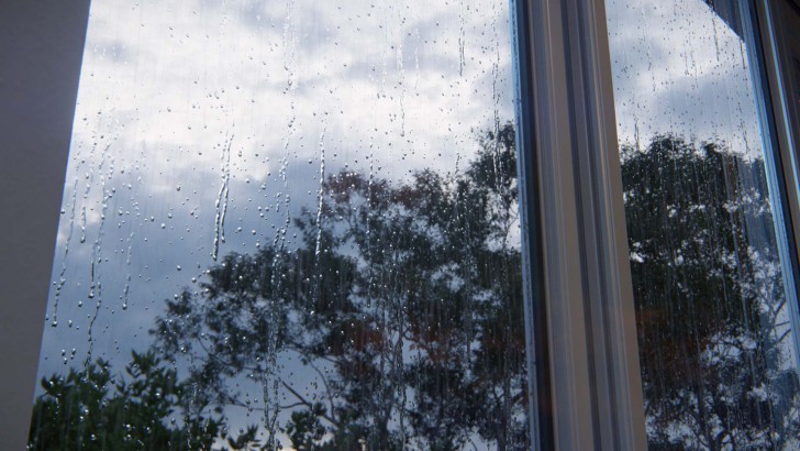 โปรแกรมออกแบบสถาปัตยกรรม 3 มิติ รุ่นสูงสุด ลิขสิทธิ์รายปี Lumion 2025 Studio - Annual Subscription โปรแกรมออกแบบสถาปัตยกรรม 3 มิติ รุ่นสูงสุด ลิขสิทธิ์รายปี Lumion 2025 Studio - Annual Subscription