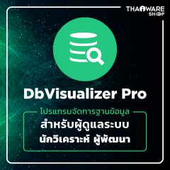 DbVisualizer Pro
