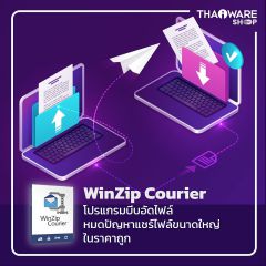 WinZip Courier
