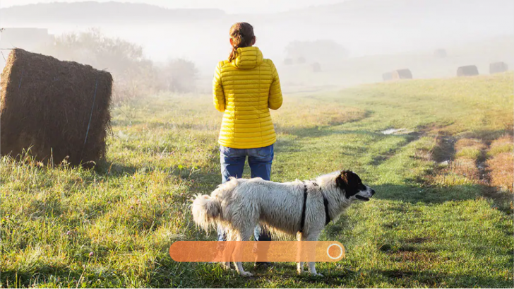 โปรแกรมแต่งรูป แก้ไขรูป รุ่นสูงสุด PaintShop Pro 2023 Ultimate