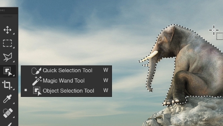 โปรแกรมแต่งรูป รุ่นโปร Adobe Photoshop Pro for Teams Corporate