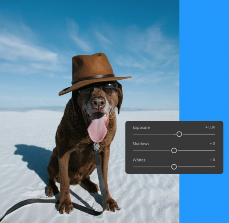 โปรแกรมแต่งรูปถ่าย รุ่นโปร ใช้งานบนทุกอุปกรณ์ และเว็บ Adobe Lightroom Pro for Teams Corporate