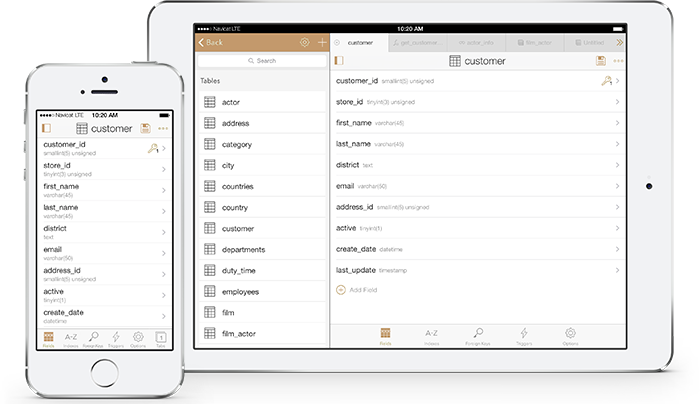 โปรแกรมจัดการฐานข้อมูล Navicat 17 for MariaDB - Subscription License