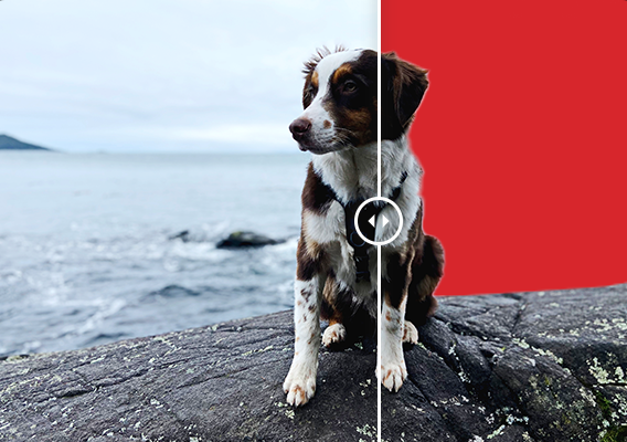 โปรแกรมดู แก้ไข และจัดการรูปภาพ รุ่นสูงสุด ACDSee Photo Studio Ultimate 2025 โปรแกรมดู แก้ไข และจัดการรูปภาพ รุ่นสูงสุด ACDSee Photo Studio Ultimate 2025