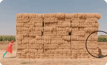 โปรแกรมแต่งรูป Adobe Photoshop for Teams Corporate