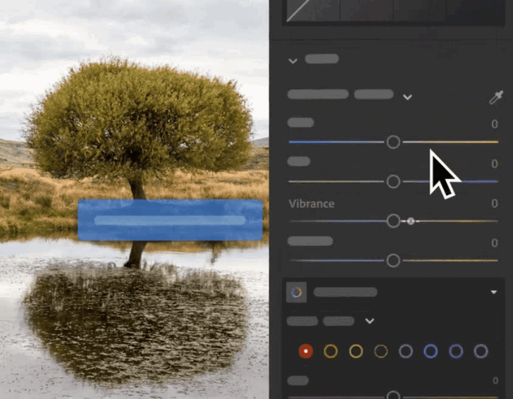 โปรแกรมแต่งรูปถ่าย สำหรับสถานศึกษา Adobe Lightroom Classic for Teams Education