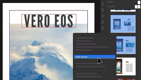 โปรแกรมออกแบบสิ่งพิมพ์ อีบุ๊ก รุ่นโปร สำหรับหน่วยงานราชการ Adobe InDesign Pro for Teams Government