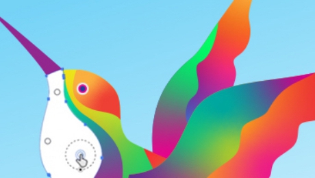 โปรแกรมวาดภาพเวกเตอร์ รุ่นโปร สำหรับหน่วยงานราชการ Adobe Illustrator Pro for Teams Government