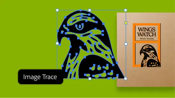 โปรแกรมวาดภาพเวกเตอร์ รุ่นโปร สำหรับหน่วยงานราชการ Adobe Illustrator Pro for Teams Government