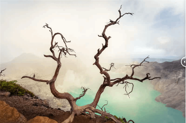 โปรแกรมแต่งรูป แก้ไขไฟล์ RAW รีทัชรูปถ่าย ACDSee Gemstone Photo Editor 15