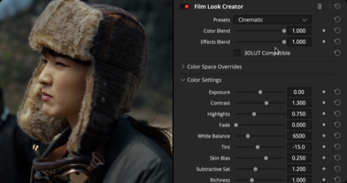 โปรแกรมตัดต่อวิดีโอระดับมืออาชีพ Blackmagic DaVinci Resolve Studio 20