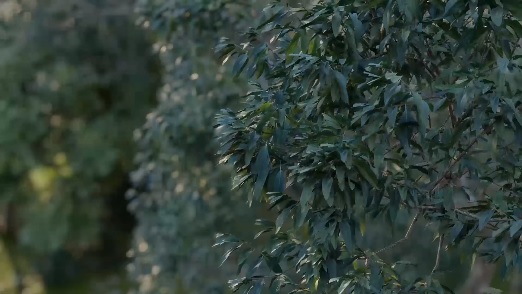 โปรแกรมออกแบบสถาปัตยกรรม 3 มิติ รุ่นโปร ลิขสิทธิ์รายปี Lumion 2025 Pro - Annual Subscription โปรแกรมออกแบบสถาปัตยกรรม 3 มิติ รุ่นโปร ลิขสิทธิ์รายปี Lumion 2025 Pro - Annual Subscription