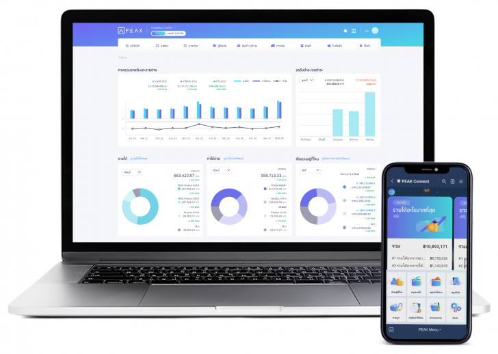 โปรแกรมบัญชีออนไลน์ รุ่นระดับสูง PEAK PRO Plus