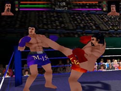 เกมส์มวยไทย 3 มิติ (3D Muay Thai)