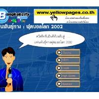 เกมส์ แฟนพันธุ์ทาง ฟุตบอลโลก 2002