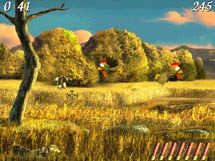 MoorHuhn 2 MoorHuhn 2