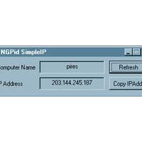 NGPid SimpleIP