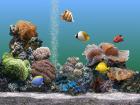 3D Aquarium Screensaver