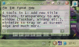 Actual Windows Manager