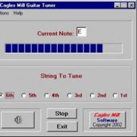 Cagles Mill Guitar Tuner